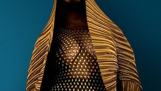 Pongo - Fabien Brochet