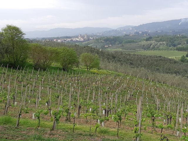 Les collines du Montalbano et le village natal de Léonard, Vinci, ont largement inspiré le maître de la Renaissance.