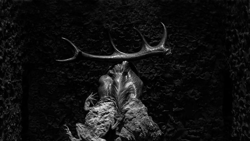 Exposition "Mnémosyne" de Josef Nadj, au 104 à Paris