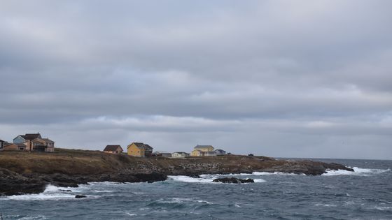 Saint-Pierre-et-Miquelon - Xénia Philippenko