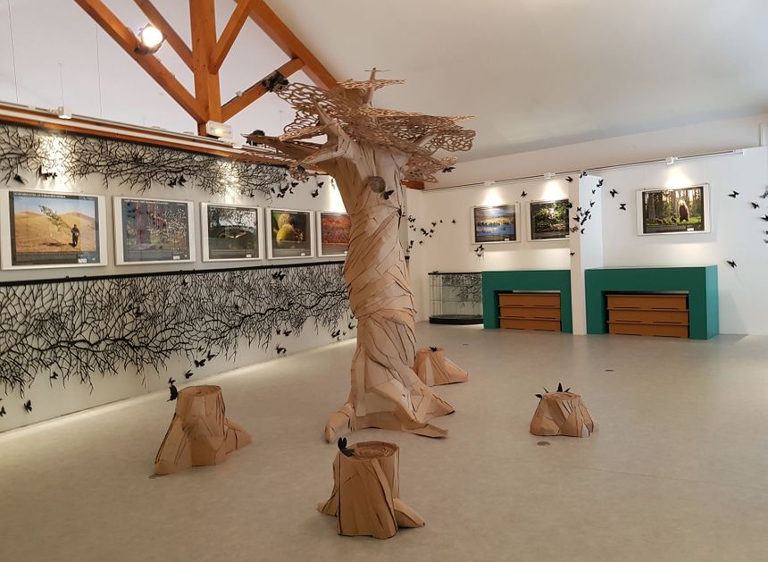L'exposition sur l'environnement au milieu des créations en carton et papier.