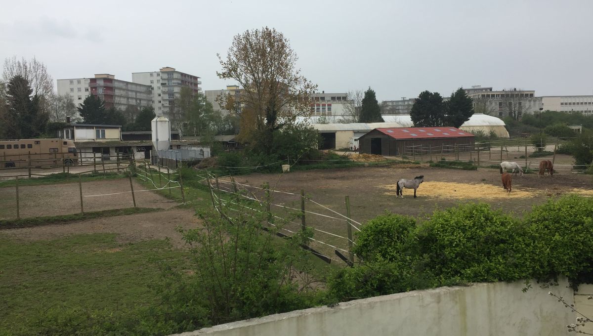 quartier prostituées le havre