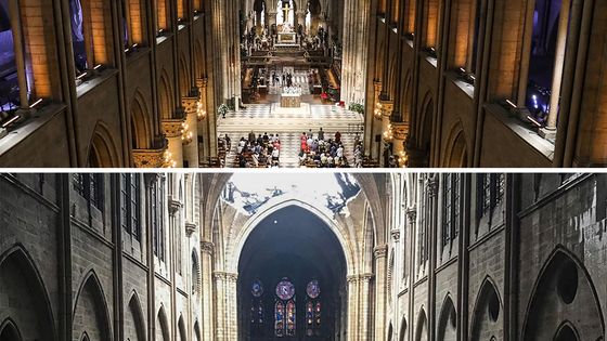 Notre-Dame de Paris, avant et après l'incendie ©AFP - LUDOVIC MARIN