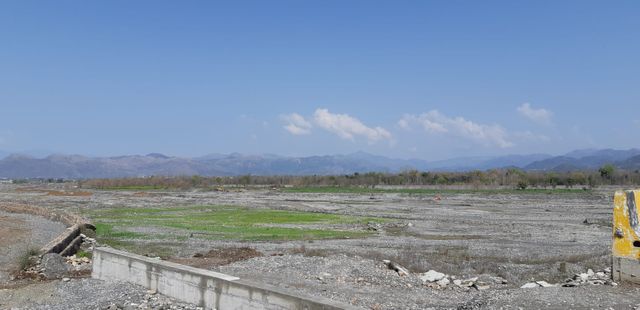 Les arbres sont plantés dans le lit asséché d'une rivière, dans le centre d'Haripur