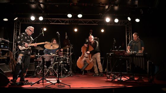 Nguyên Lê Streams Quartet au New Morning à Paris le 19 mars 2019 - Philippe Marchin