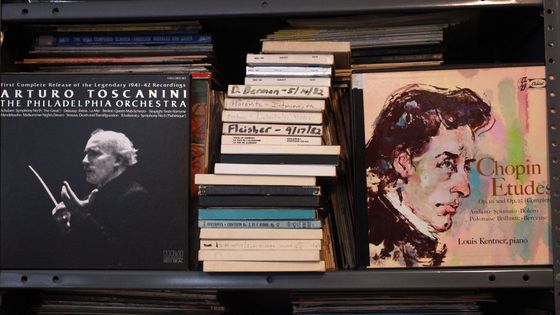 France Musique est à Vous ! ©Getty - Amy T. Zielinski