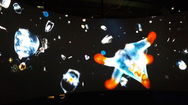 Avec ce film les visiteurs sont immergés au coeur de l'infiniment petit