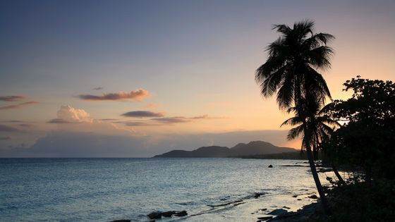 Puerto Rico, Vieques Island, Esperanza Bay ©Getty