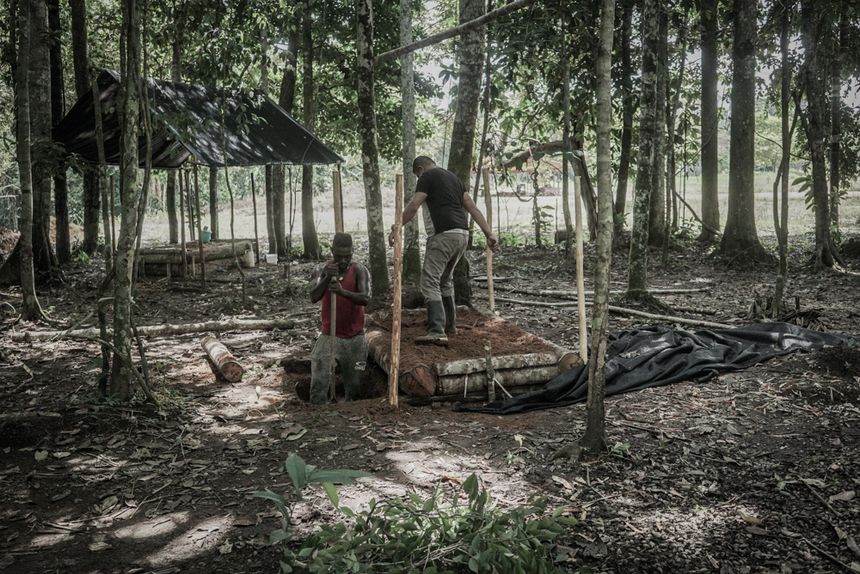 Ouvriers du village travaillant à la reconstitution d’un campement des FARC destiné à accueillir des touristes
