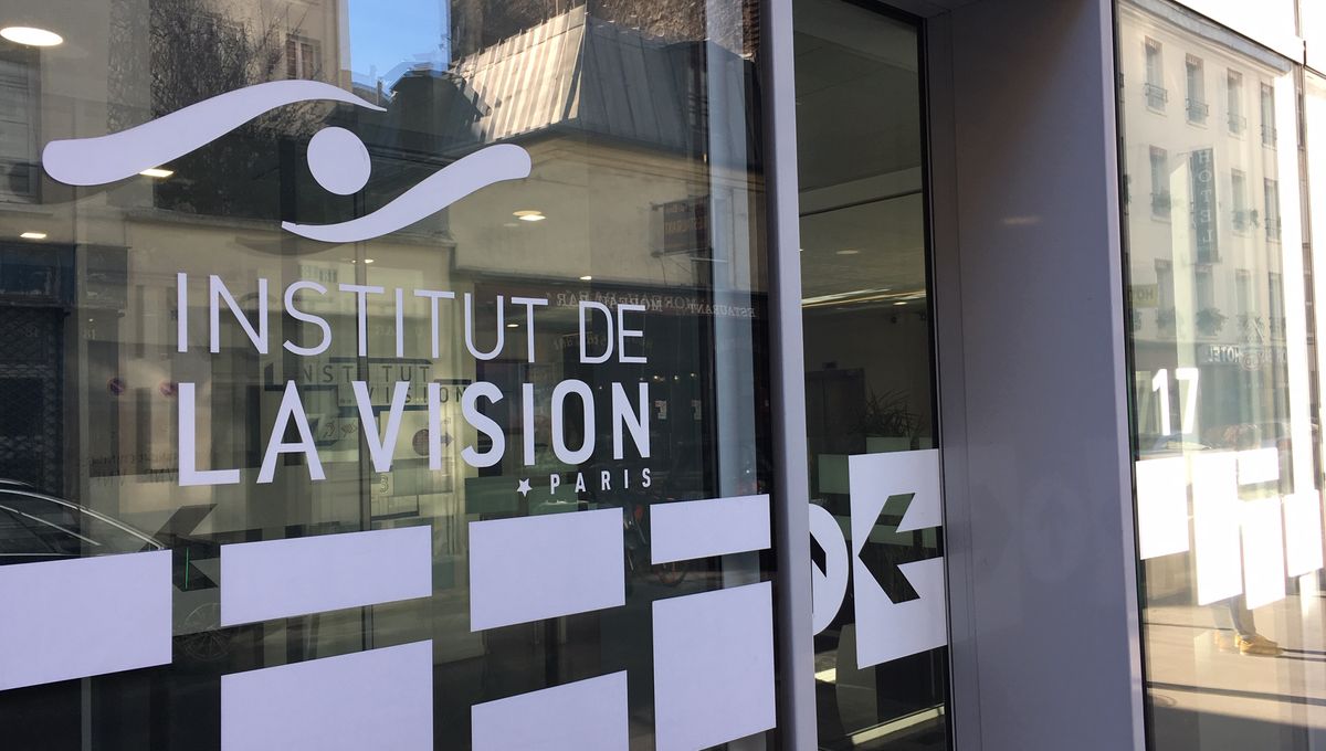 L'Institut de la Vision