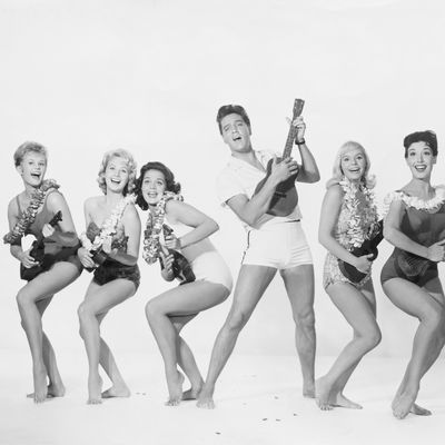 Cast members of Blue Hawaii from left: Pamela Austin as Selena Emerson, Darlene Tompkins as Patsy Simon, Joan Blackman as Maile Duval, Elvis Presley as Chad Gates,