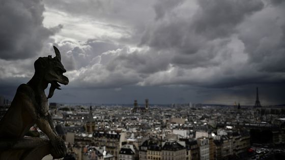 L'une des gargouilles de la Cathédrale Notre-Dame de Paris. ©AFP - MARTIN BUREAU