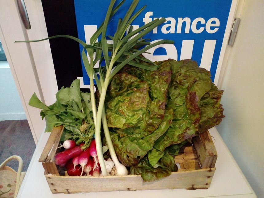 La salade "au merveille des 4 saisons", du aillet et des radis de la ferme "Au sabot maraîcher"