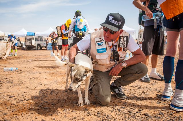 Comment passer de chien abandonné (ou sauvage) à mascotte de la course...