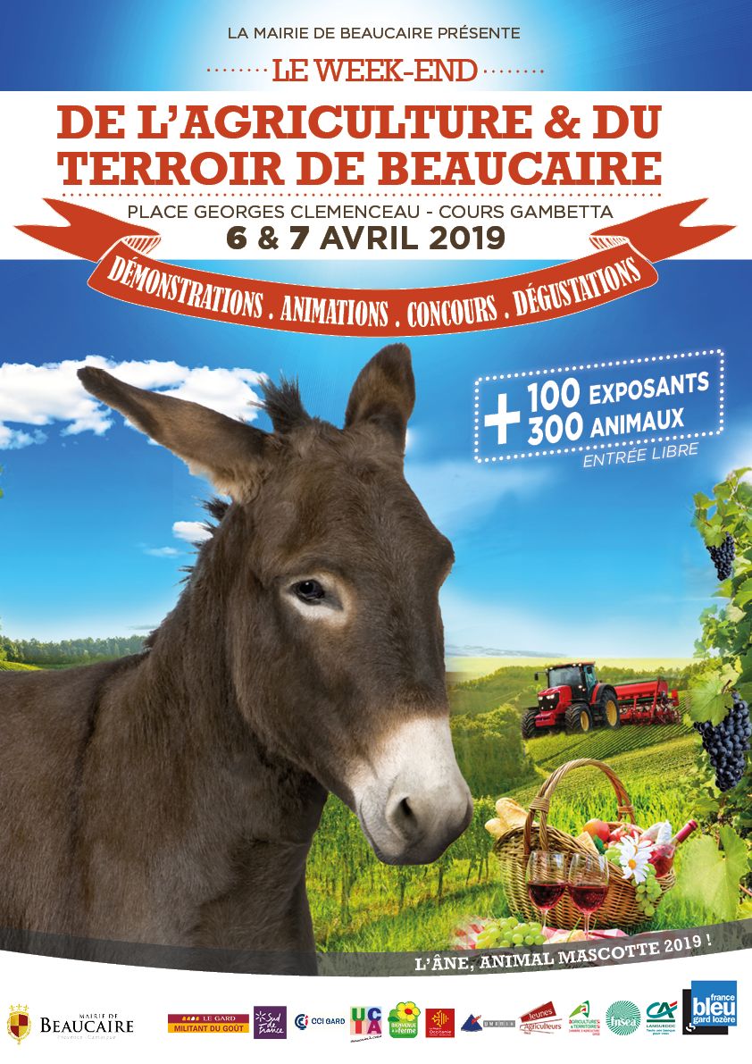TOQUES Beaucaire
