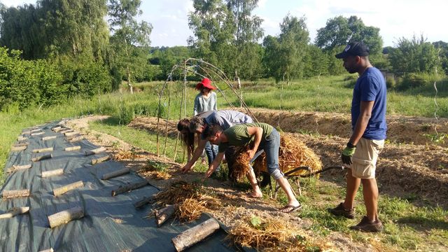 Paillage à gogo, ferme de la Roussière.