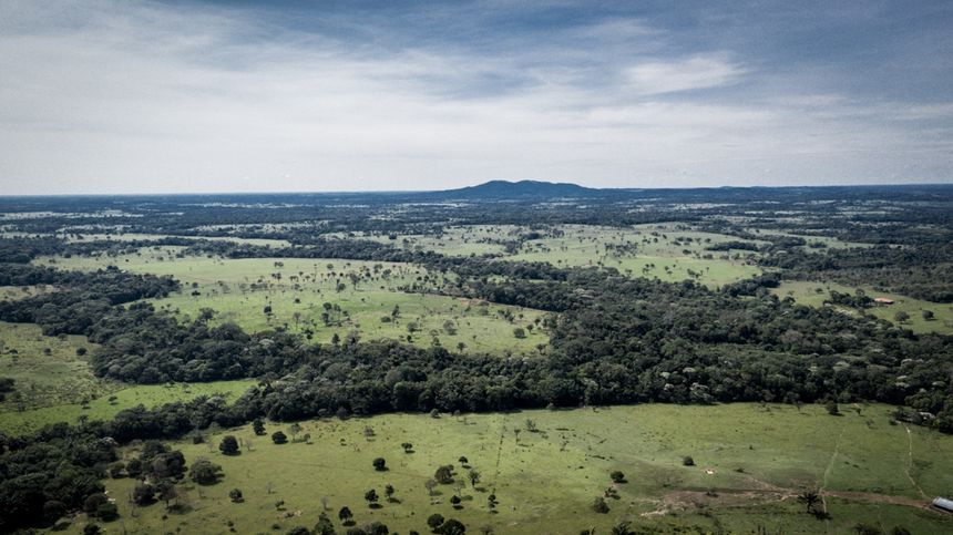 Prairies déboisées dans le département du Guaviare