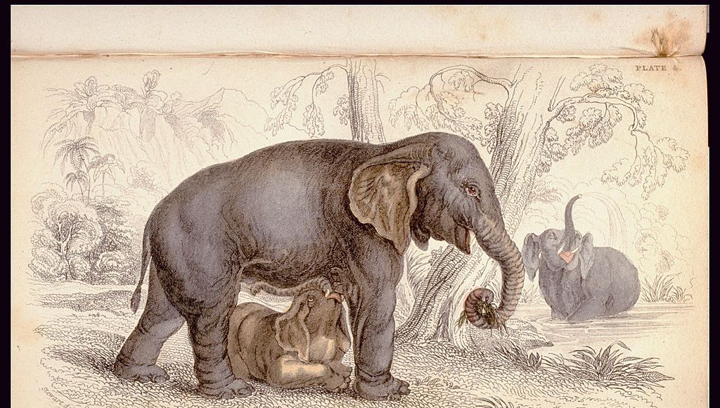 L’éléphant des Champs Élysées, le plus gros éléphant du monde