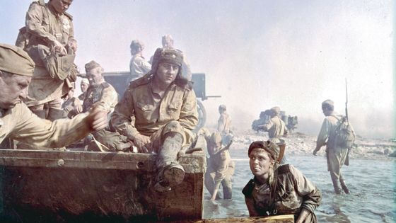 Sibériade, d'Andreï Konchalovsky (1979) - Potemkine Films