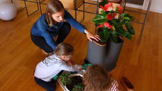 Les enfants nourrissent les vers du compartiment compost - les transfarmers