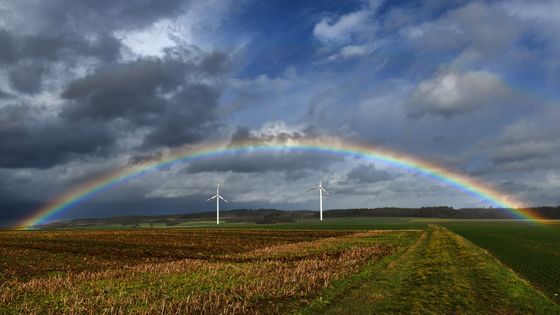 Arc-en-ciel sur le Vogelsberg (Hesse, Allemagne, 2019) ©Getty - Uwe Zucchi/picture alliance