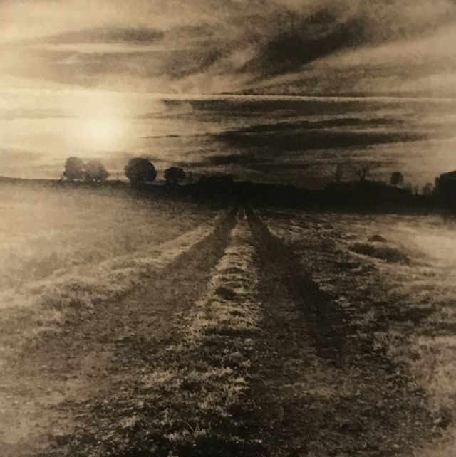 Sun over Field