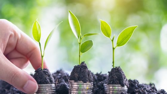 Des plantes poussant à travers des pièces de monnaie. ©Getty - Krisanapong Detraphiphat