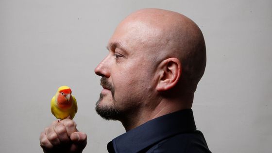Bojan Z - Bojan Z