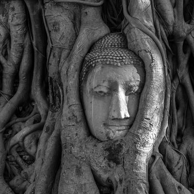 Bouddha (Thaïlande)
