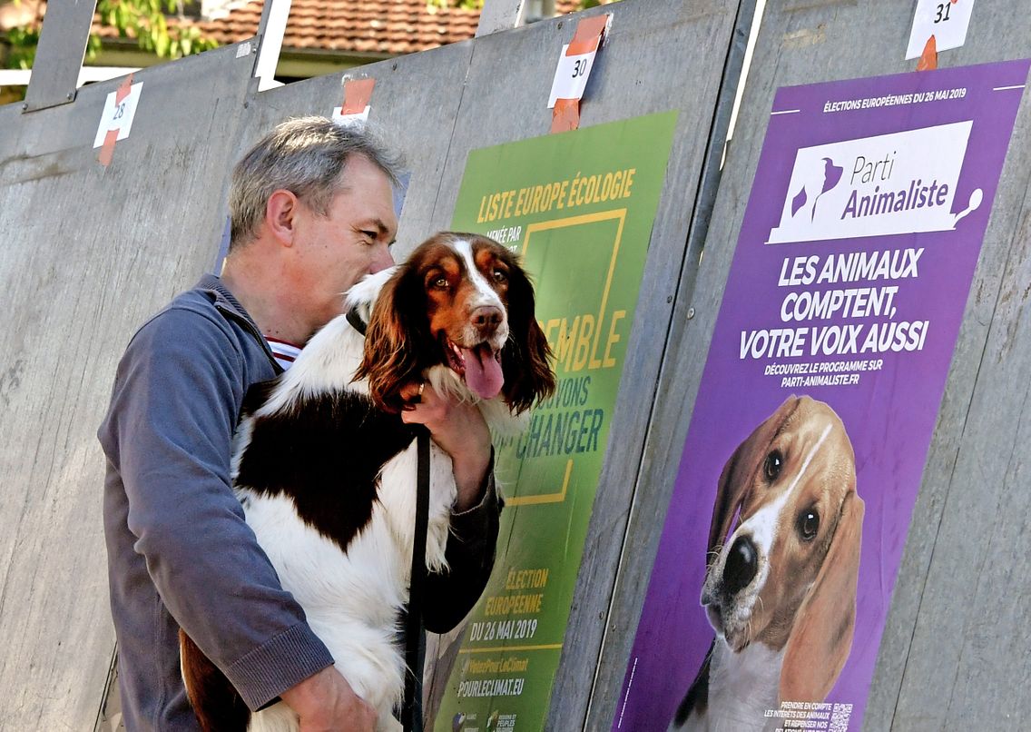 Europeennes Pres De 500 000 Francais Ont Vote Pour Le Parti Animaliste