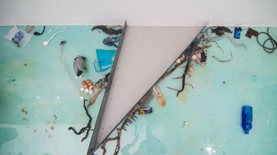 Installation de Laure Prouvost à la Biennale de Venise 2019 ©Getty - Simone Padovani/Awakening / Contributeur