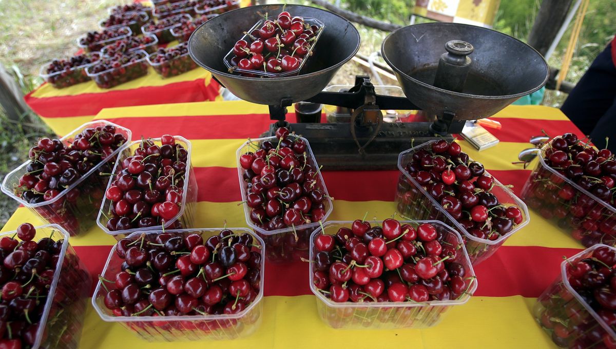 Fête de la cerise à Céret, demain i diumenge Fête de la cerise à Céret, demain i diumenge