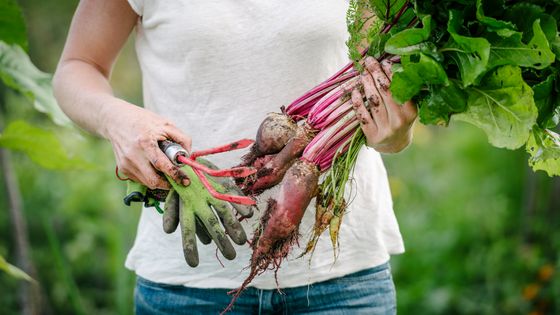 A la découverte des nouveaux paysans du terroir francilien. ©Getty