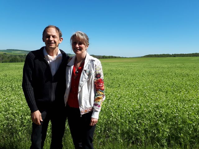 La famille Vincent, à Chigy dans l'Yonne s'est convertie à l'agriculture bio en 2010