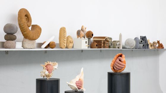 Exposition " Every stone should cry" de Théo Mercier, Musée de la Chasse et de la nature, 2019 - Erwan Fichou