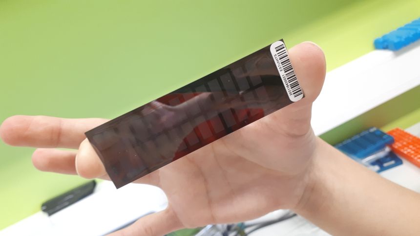 La carte génomique produite après extraction et numérisation du génome