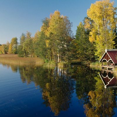 La Finlande est l'un des pays les plus boisés avec 71,6 % de sa superficie couvertes de forêts, soient 230 000 km2