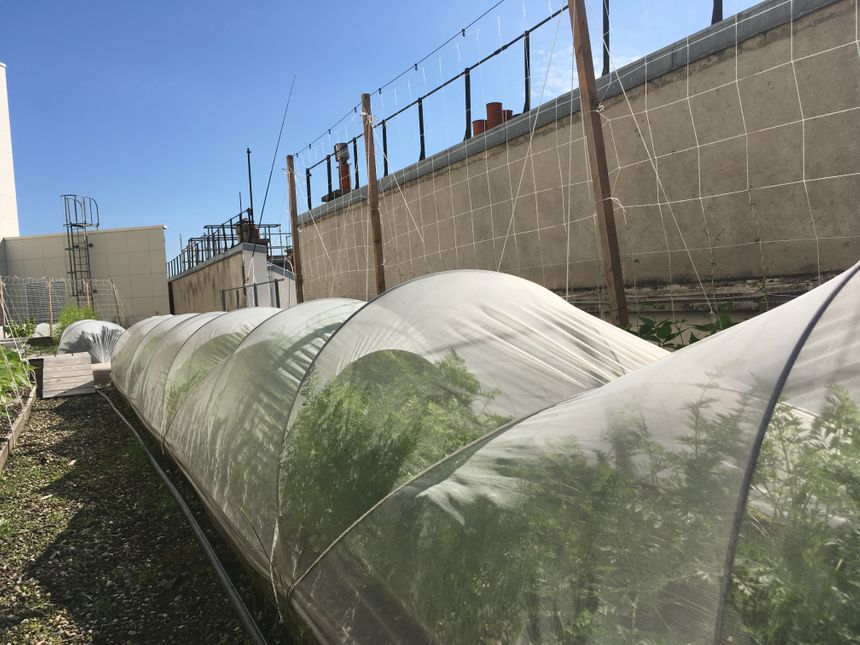 Le potager de l'Opéra Bastille