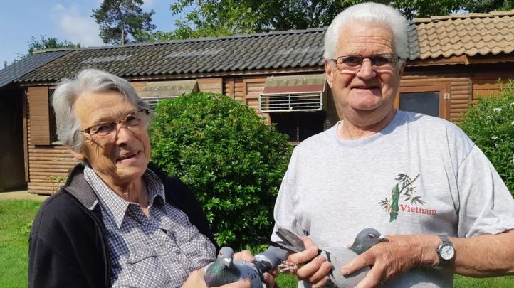 Marcel et Marie Bablé bichonnent 150 pigeons voyageurs à Chevaigné, au Nord de Rennes