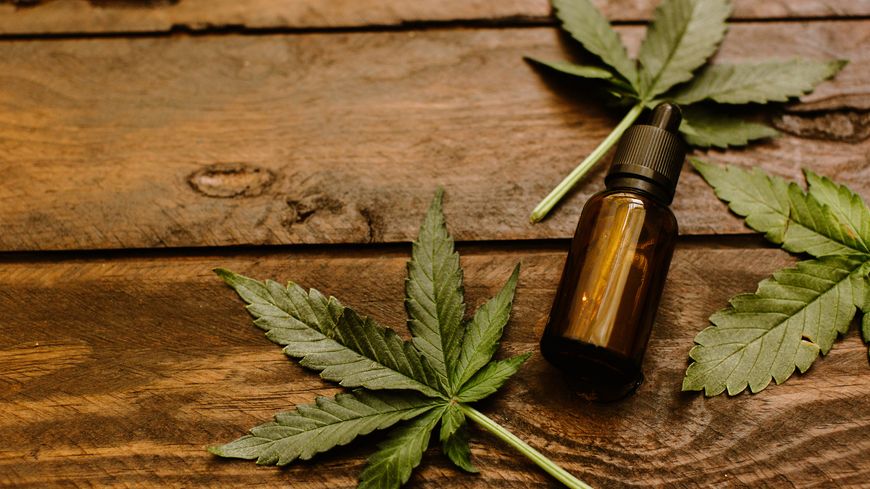 La France devrait bientôt expérimenter l'usage médical du cannabis dans certaines indications, et notamment pour les douleurs liées au cancer