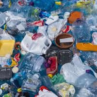 Légende : Algues vertes, plastiques : l'océan a le mal de mer ?