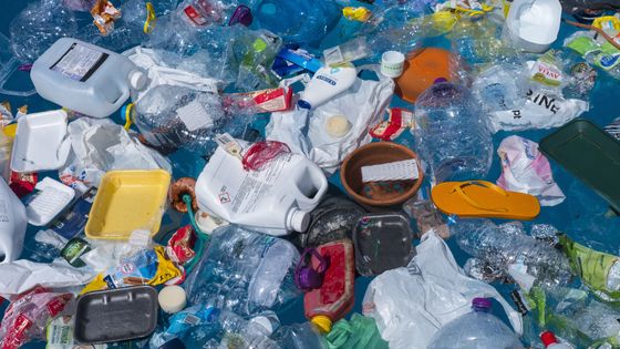 Légende : Algues vertes, plastiques : l'océan a le mal de mer ? ©AFP - PAULO DE OLIVEIRA / BIOSPHOTO