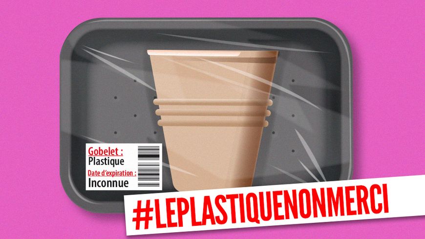 L'impact sanitaire des nanoplastiques est largement méconnu, en l'absence de données toxicologiques.