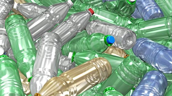 Comment déplastifier nos bureaux? ©AFP - CHRISTOPH BURGSTEDT / SCIENCE PHOT / CBR / Science Photo Library