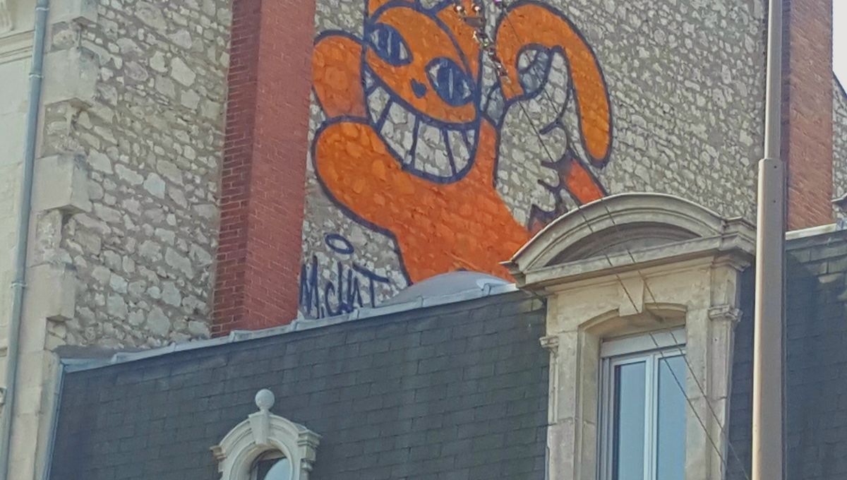 chat orleans