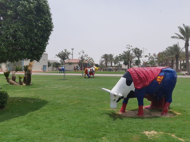 Des vaches colorées qui broutent l’herbe d’une improbable oasis. Bienvenue chez Baladna, dans le désert qatari.