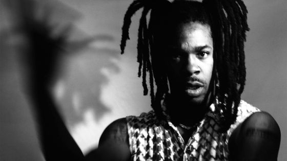 Busta Rhymes - Des Willie / Redferns