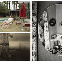 "At the pool" © Erwin Olaf; Deep South, Untitled (Scarred Tree) © Sally Mann; The Home Place © Estate of Wright Morris