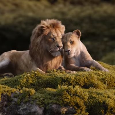 Le Roi Lion - capture trailer