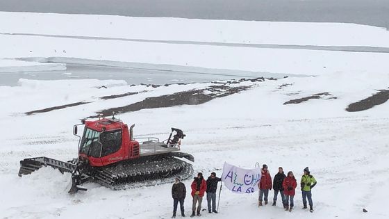 Un comité d'accueil est venu saluer les nouveaux arrivans à la base Dumont d'Urville - Nicolas Martin